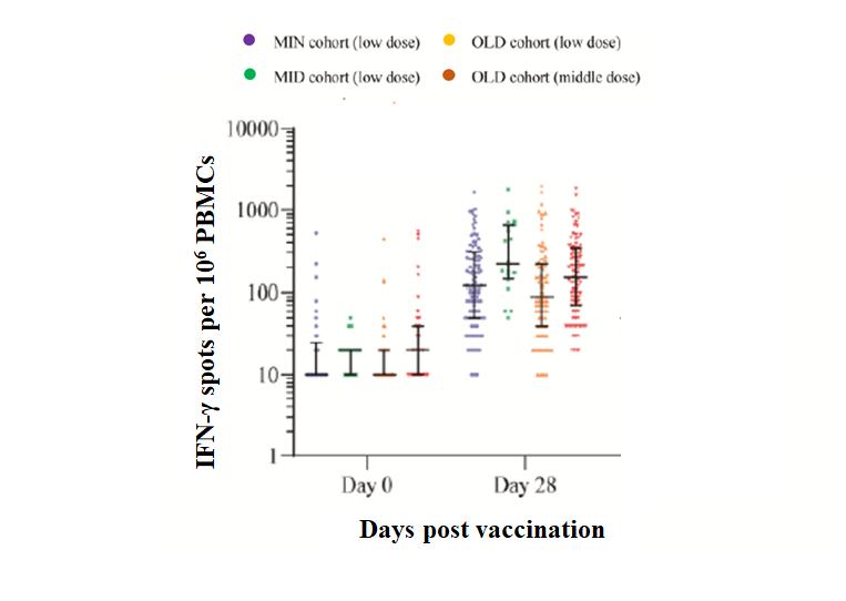 1633748964952.png 0 (2).png